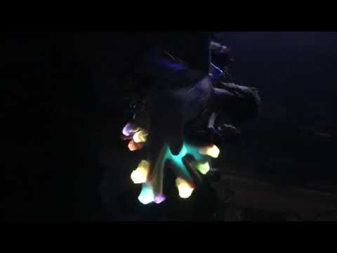 Illenium Ascend Tour Experience Live Kansas City 11/20/19