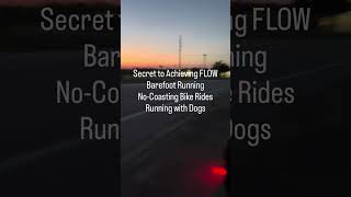 Zen Thoughts while out on a run with River this morning.