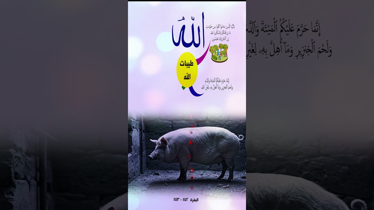 طيبات الله