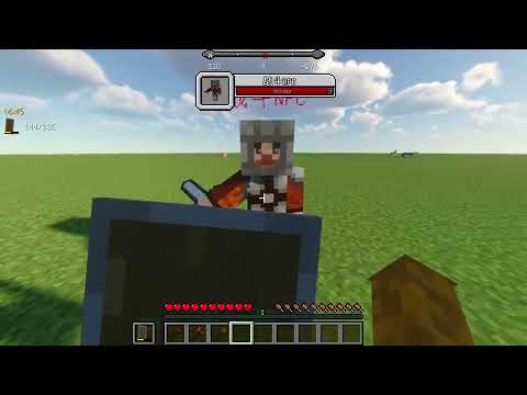 [CNPCScript]A custom npc uses random sword skill