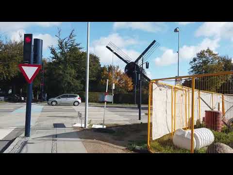 MongoTV_9908 - MIN GÅTUR - Del 6 - Tirsdag 11.Oktober 2022 - Spiser Burger Med Pomfritter