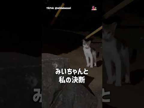 猫の親子を救った…夏の決断