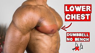DUMBBELL ONLY LOWER CHEST WORKOUT AT HOME | NO BENCH NEEDED!