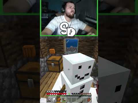 Mind-Blowing Minecraft Discovery! 😱 #gaming