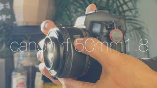 캐논 RF 50mm F1.8 STM (정품)_동영상_이미지