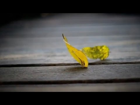 monoki | candlelight&bubblesoap (official video by hamaranta)