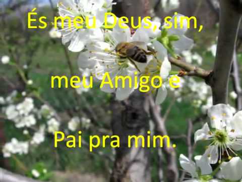 Cântico 91   Meu Deus , Meu Amigo E Pai