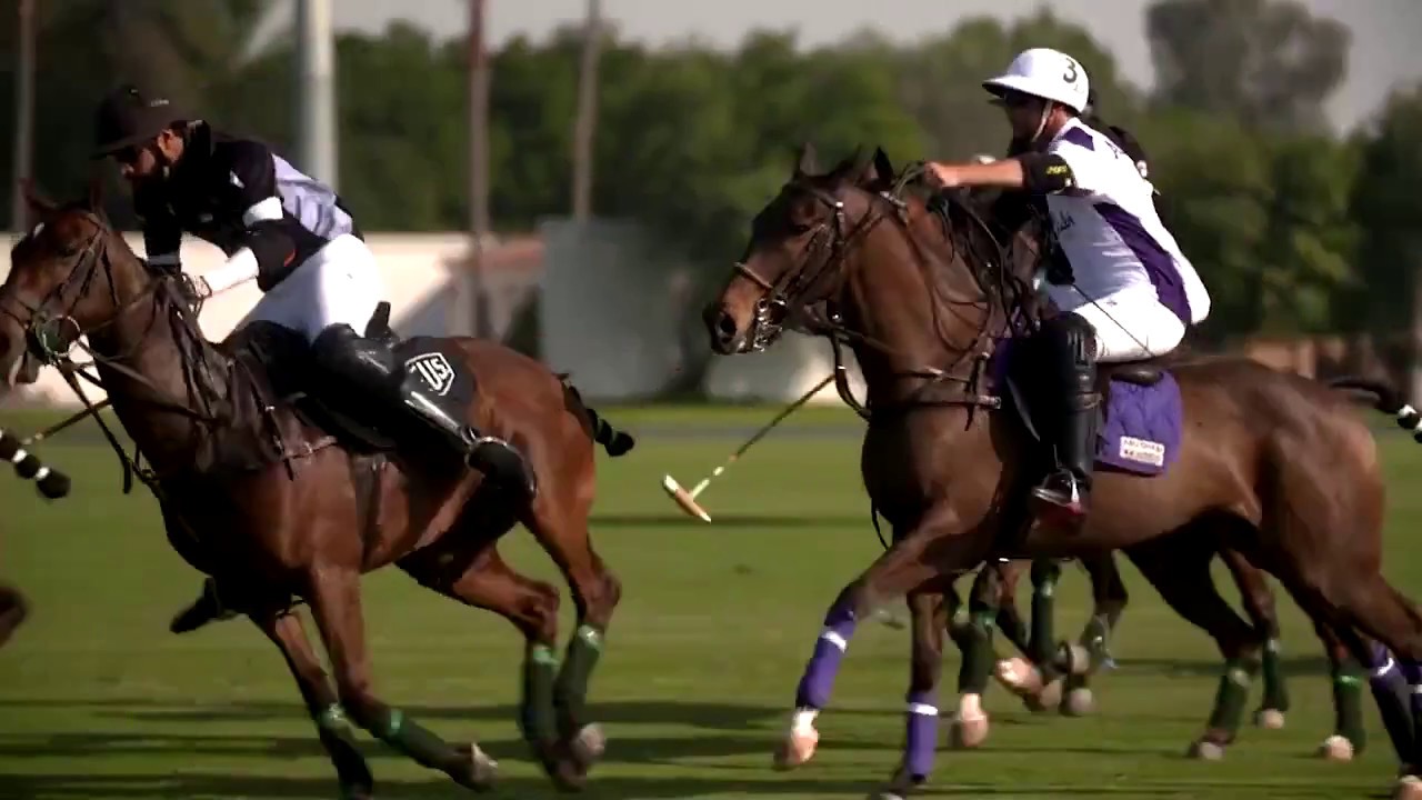 UAE Polo Cup