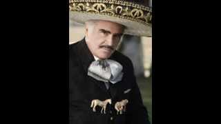 Vicente Fernandez La Diferencia