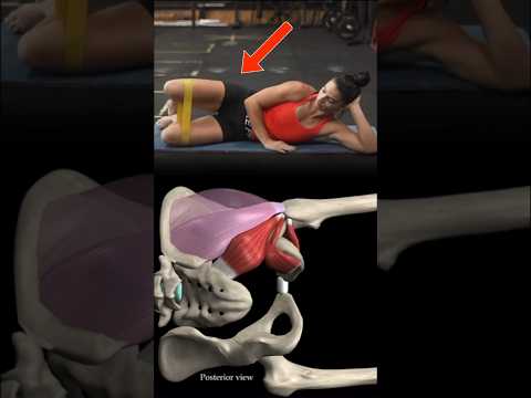 The BEST Glute Exercise EVER!😳