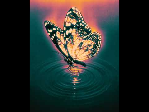 [FREE] "without who?" SoFAYGO + GUNNA type beat (prod@ojayodon)