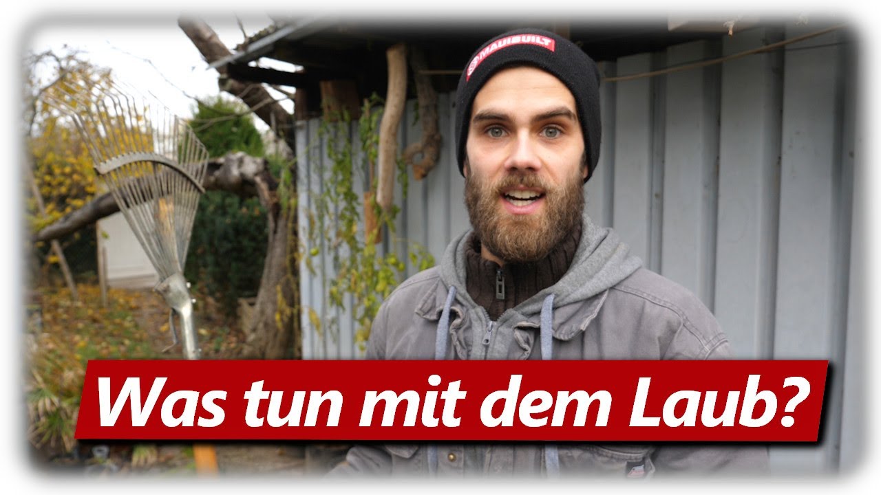 youtube video id=BL1R8iLuEfI