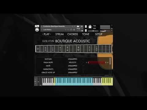 Video for Evolution Boutique Acoustic - Overview & Preset Demo