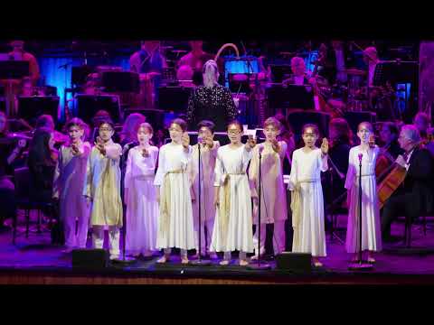 Where's Your Head At  Live @ Sydney Opera House Basement Jaxx with The Metropolitan Orchestra