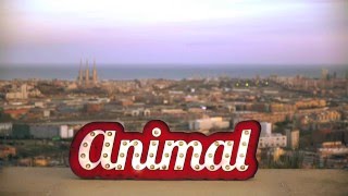 Video thumbnail of "Animal - Més enllà del món"