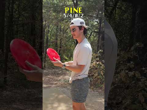 What is the best Westside Disc? 🥏 #westsidediscs #discgolf