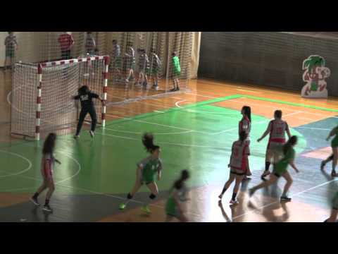 Andebol: CALE - Almeida Garrett Juv.fem. Maio 2016 Golo ou não?