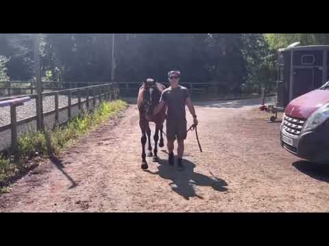 Video 1