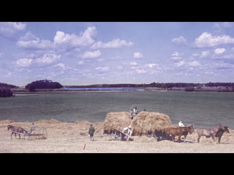 Ostpreussen - Entschwundene Welt TRAILER