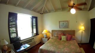 preview picture of video 'Farchette & Hanley Team - USVI Sotheby's International Realty - St. Croix US Virgin Islands'