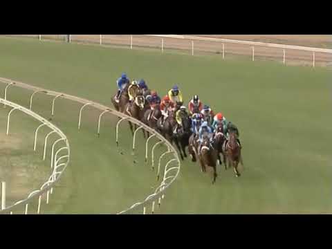 Soqrat - 2019 Victory Moon Stakes (Gr3)