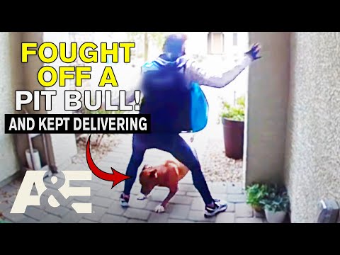 Top 7 Daring Rescues by Everyday Heroes | Neighborhood Wars | A&E