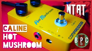 Video thumbnail for Country Squish - Caline Hot Mushroom - No Talk, All Tone by Budget Pedal Chap