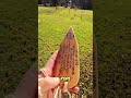How Ancient People Communicated Long Distance