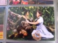 Wizard Of Oz Collector S Card Set 2