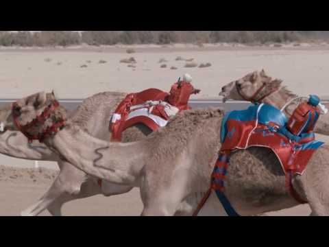 TV Promo for Abu Dhabi TV