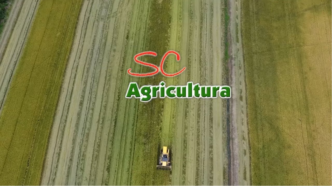 Confira íntegra do programa SC Agricultura deste sábado (30)!