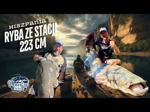 Hiszpania Ryba ze Stacji 223 cm🔥🔥🔥  👉Krzysiek wypadł z łódki👈
