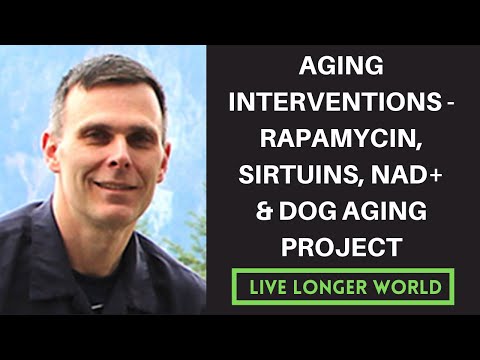 Rapamycin and the Dog Aging Project