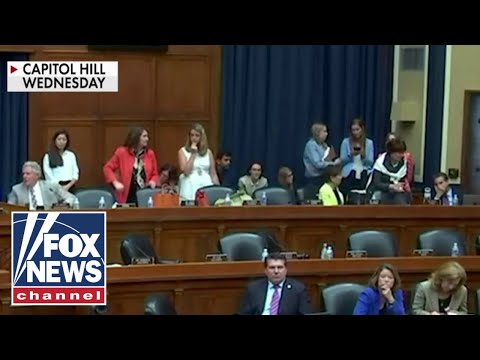 Democraten verlaten genderoperatiehoorzitting — "turned into a circus"