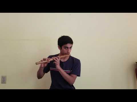 Raghu Natha Nannu in Raag Suraranjani on Flute