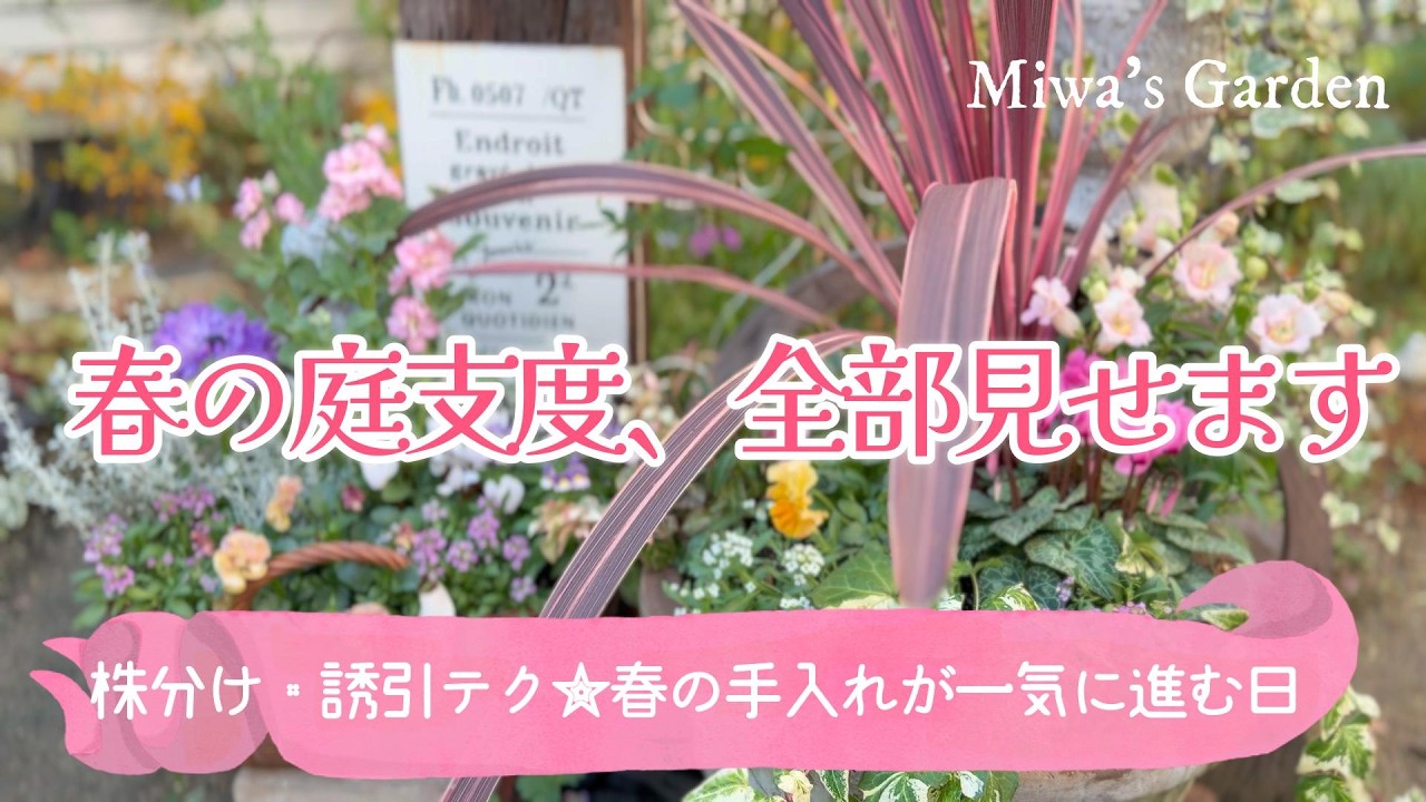 ガーデニング・春の庭支度、全部見せます！クレマチス誘引準備・ホスタ株分け・満開の寄せ植え｜宿根草のおしゃれな庭づくり