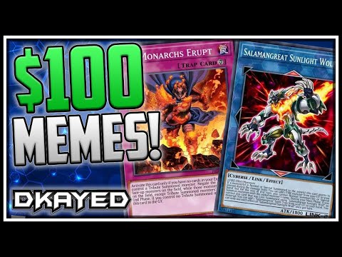 $100 MEME Tournament! Best Meme Decks in Master Duel! No Tier List! [Yu-Gi-Oh! Duel Links]