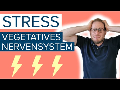 ⚡Stress und vegetatives Nervensystem - Ist das der Grund für deine Beschwerden?