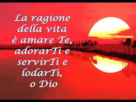 La ragione della vita é amare te