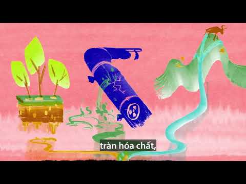 Những dấu hiệu của nước bị ô nhiễm hoặc nhiễm khuẩn