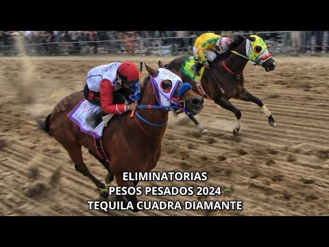 Tequila Cuadra Diamante! Derrota al Comache Cuadra Piedreros en 300y Pesos Pesados 2024 Chicago 🇺🇸