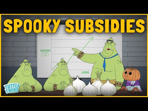 What's So Spooky About Subsidies? | Economics Explained