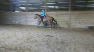 Skip Dunit Skip JMK loping to the left