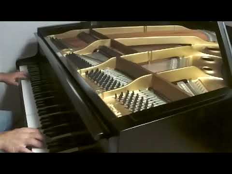 Yamaha G1 Grand Piano - 5'3" Ebony Great Sound image 10