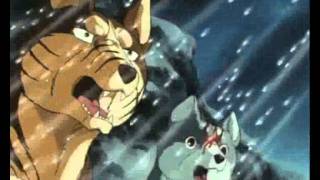 GNG AMV- Tiger of Sabrod