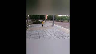 Download lagu 10 years old skater mp3