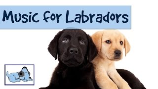 Music for your Labrador - Calming Music for Your Pet Dogs 🐶 #RETLAB04