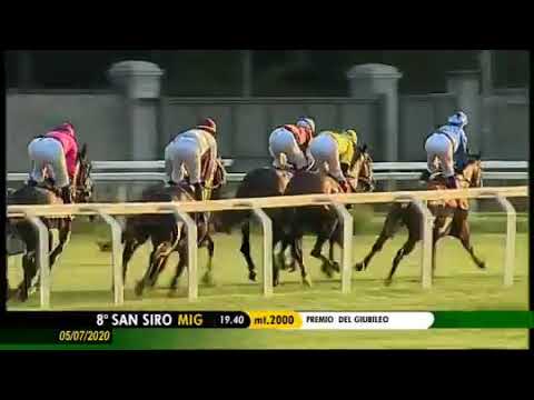 2020.07.05 Premio Del Giubileo (ITA) - Stex