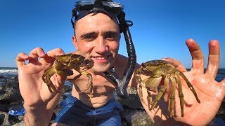 Как поймать краба в черном море руками