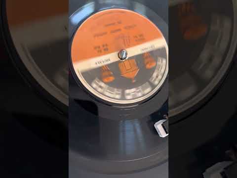 Mpundu Mutale - Africa Mayo Africa Single Sample 001